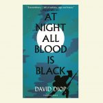 At Night All Blood is Black Review – A Novella of Brutal Beauty